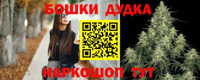 jwh Новозыбков