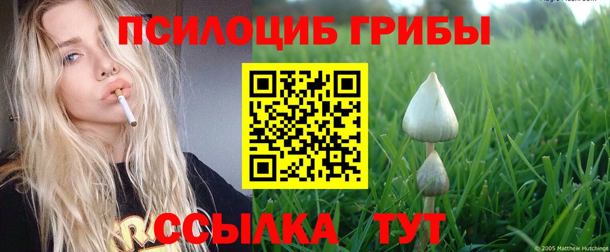 Псилоцибиновые грибы мицелий  Вход с VPN  даркнет сайт  Холмск 